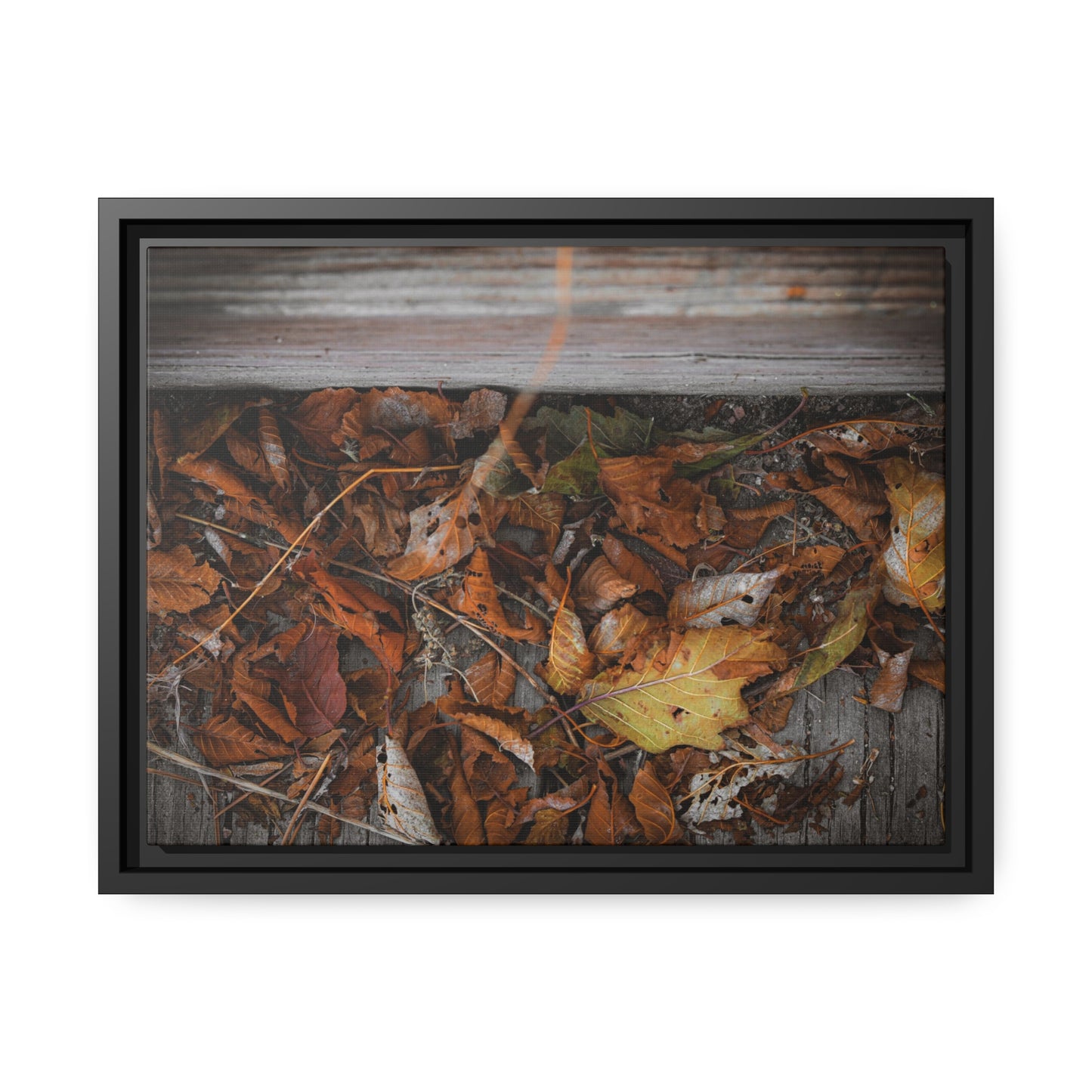 "Leaves on a Bridge" Framed Canvas