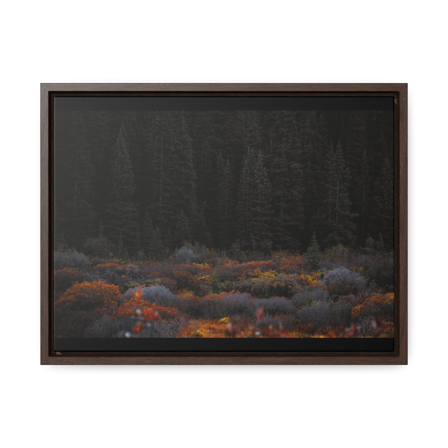 Moody Forest Framed Gallery Canvas