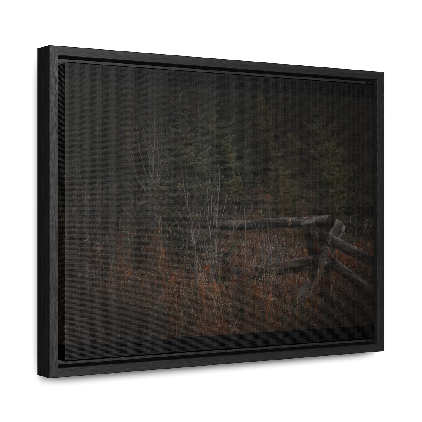 Countryside Forest Framed Gallery Canvas