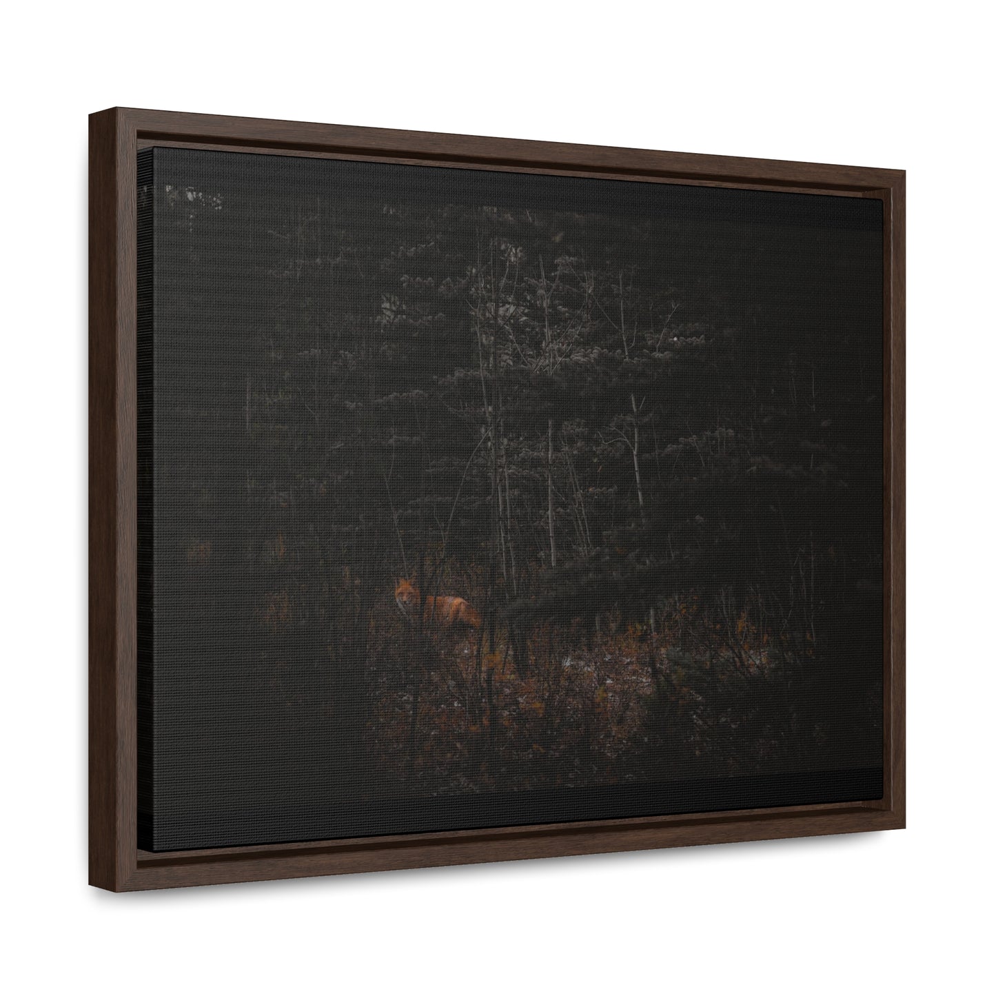 The Fox of the Forest Framed Gallery Canvas