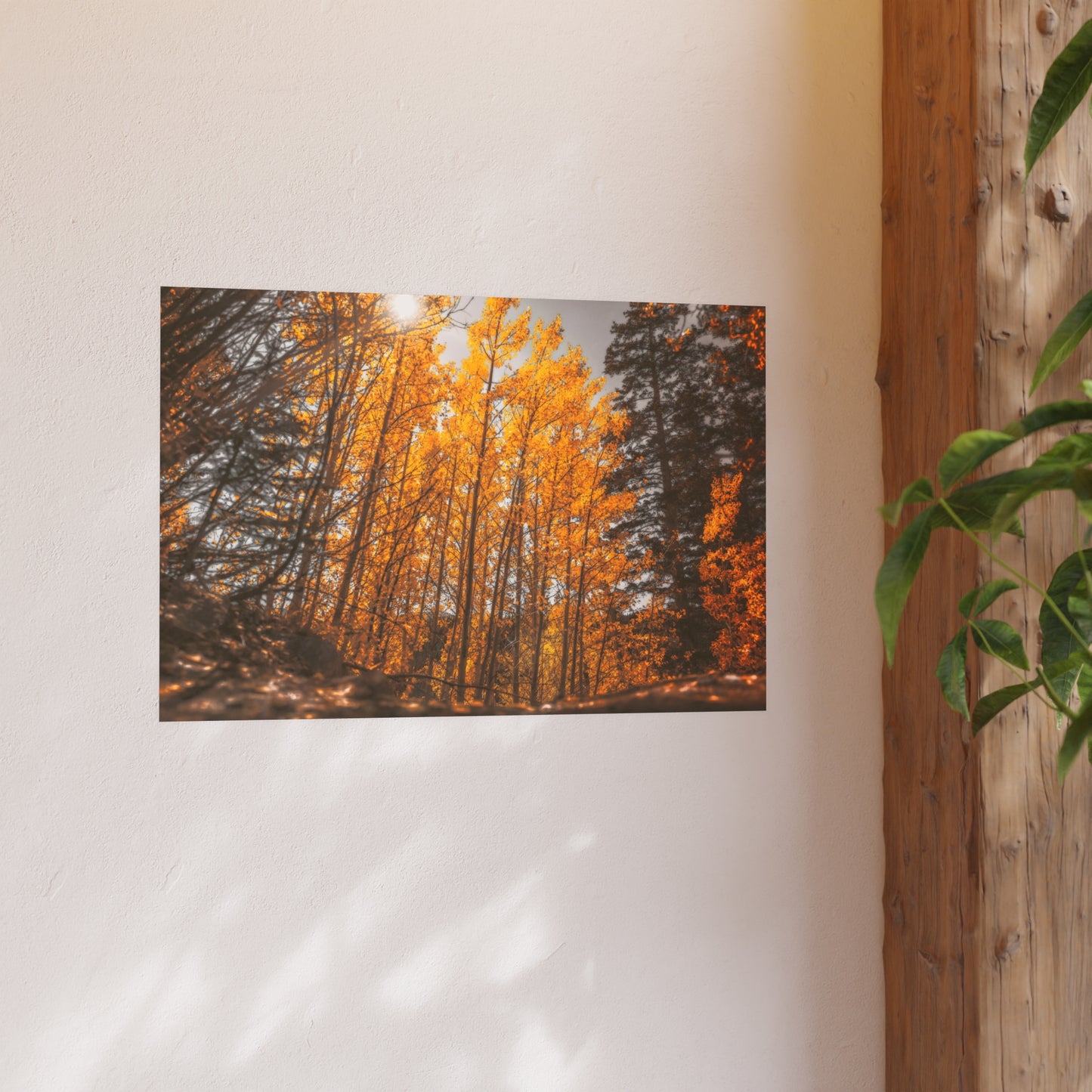 "Autumn's Light" Fine Art Print