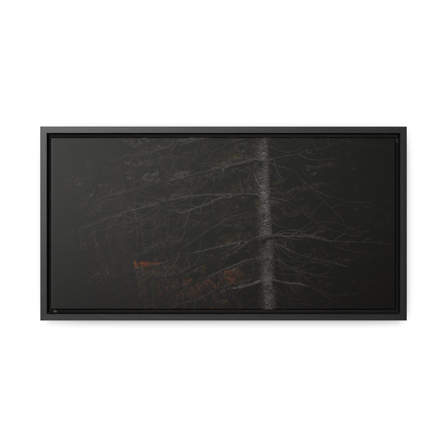 Beauty in Darkness Framed Gallery Canvas