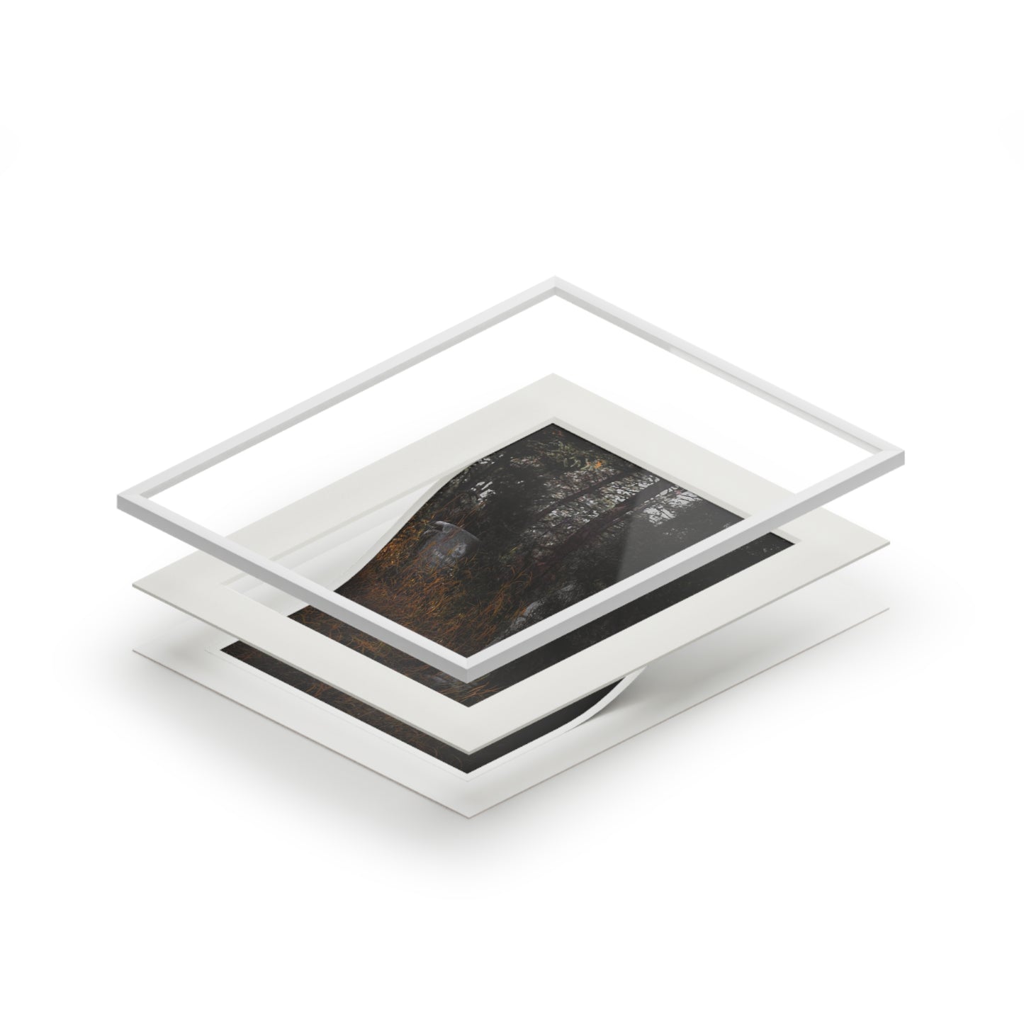 'Hidden Stories" Fine Art Prints (Passepartout Paper Frame)