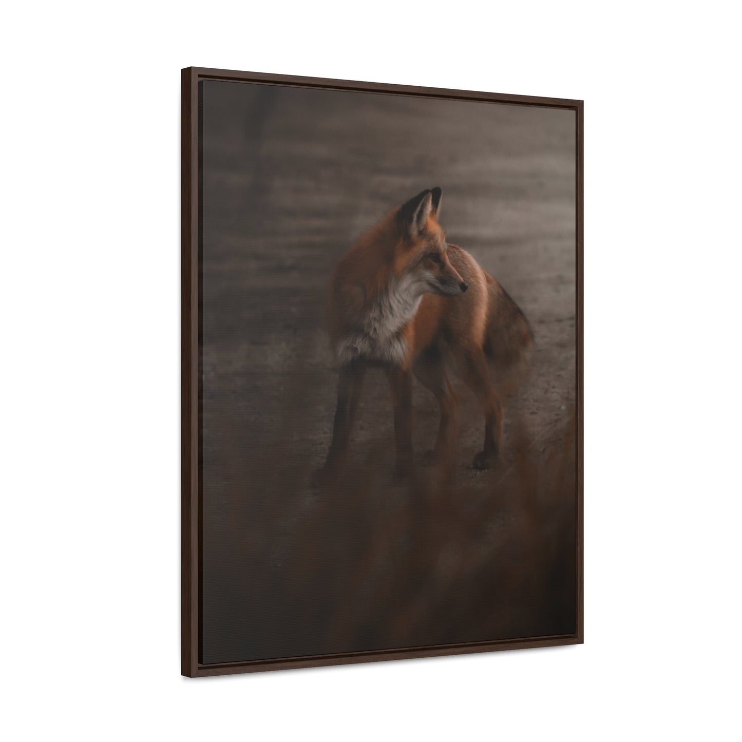 The Sly Fox Gallery Canvas Wraps, Vertical Frame