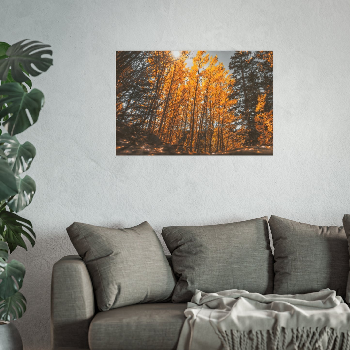 "Autumn's Light" Fine Art Print