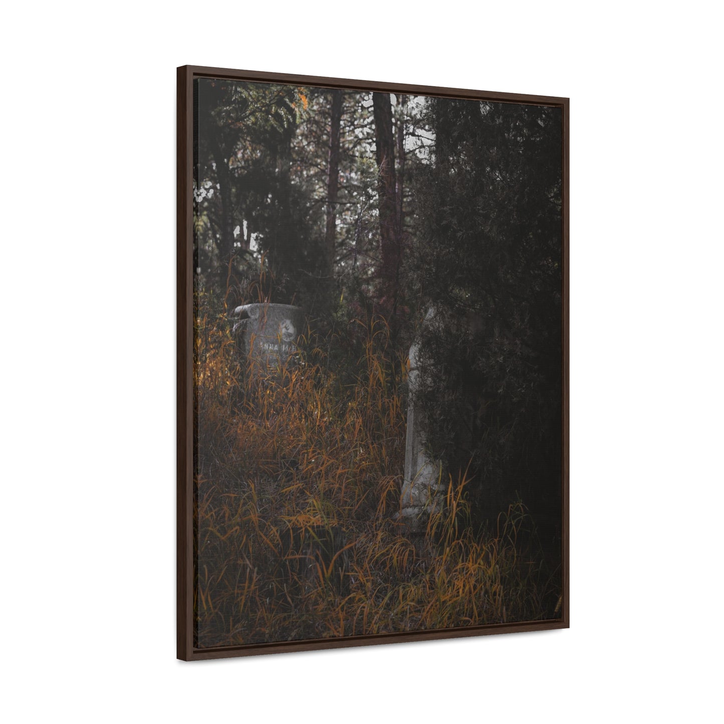 "Hidden Stories" Gallery Canvas Wraps, Vertical Frame