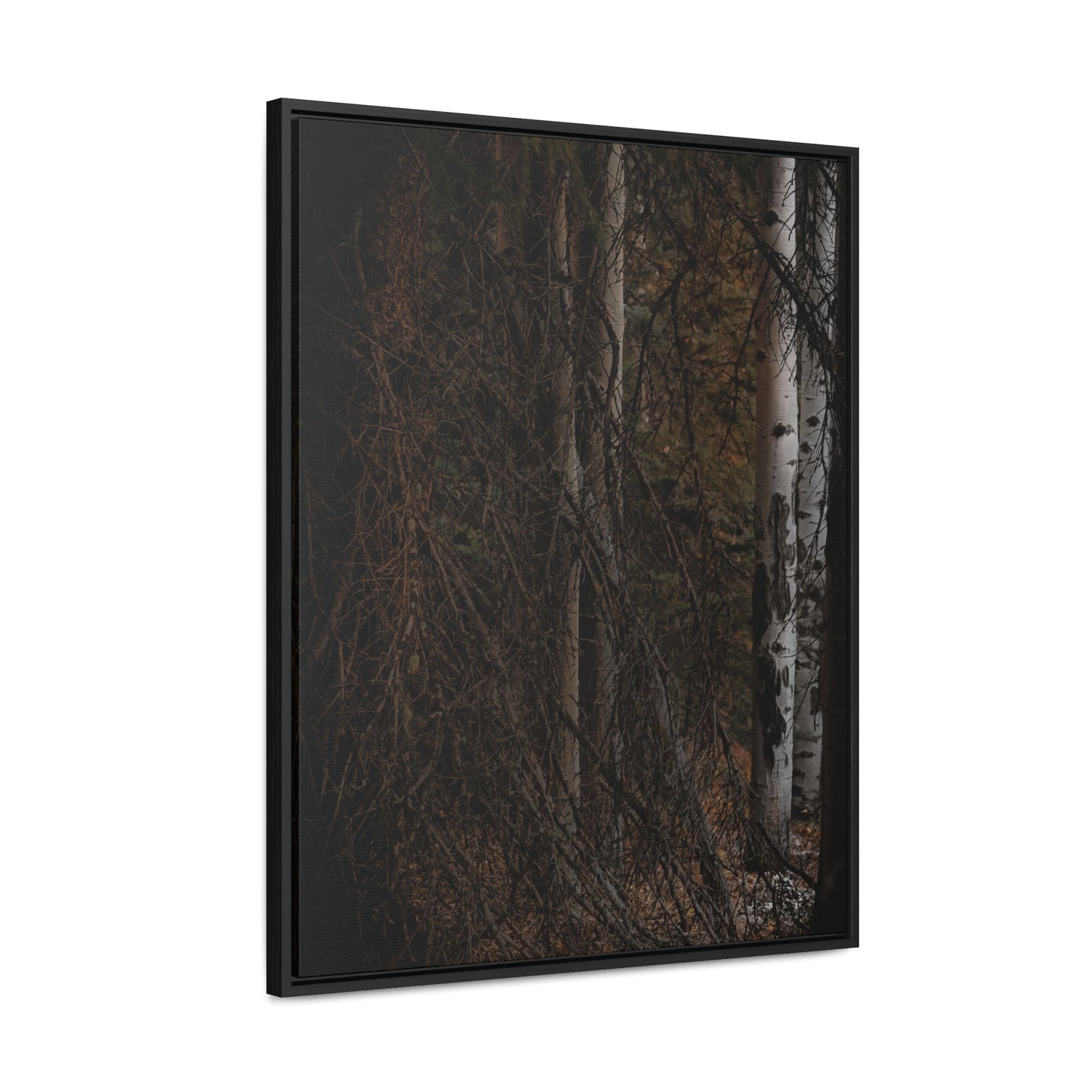 The Dark Forest Gallery Canvas Wraps, Vertical Frame