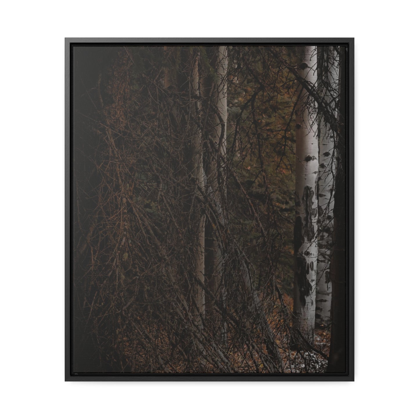 The Dark Forest Gallery Canvas Wraps, Vertical Frame