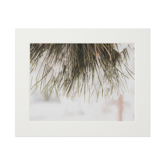 "Winter's Beginning" Fine Art Prints (Passepartout Paper Frame)