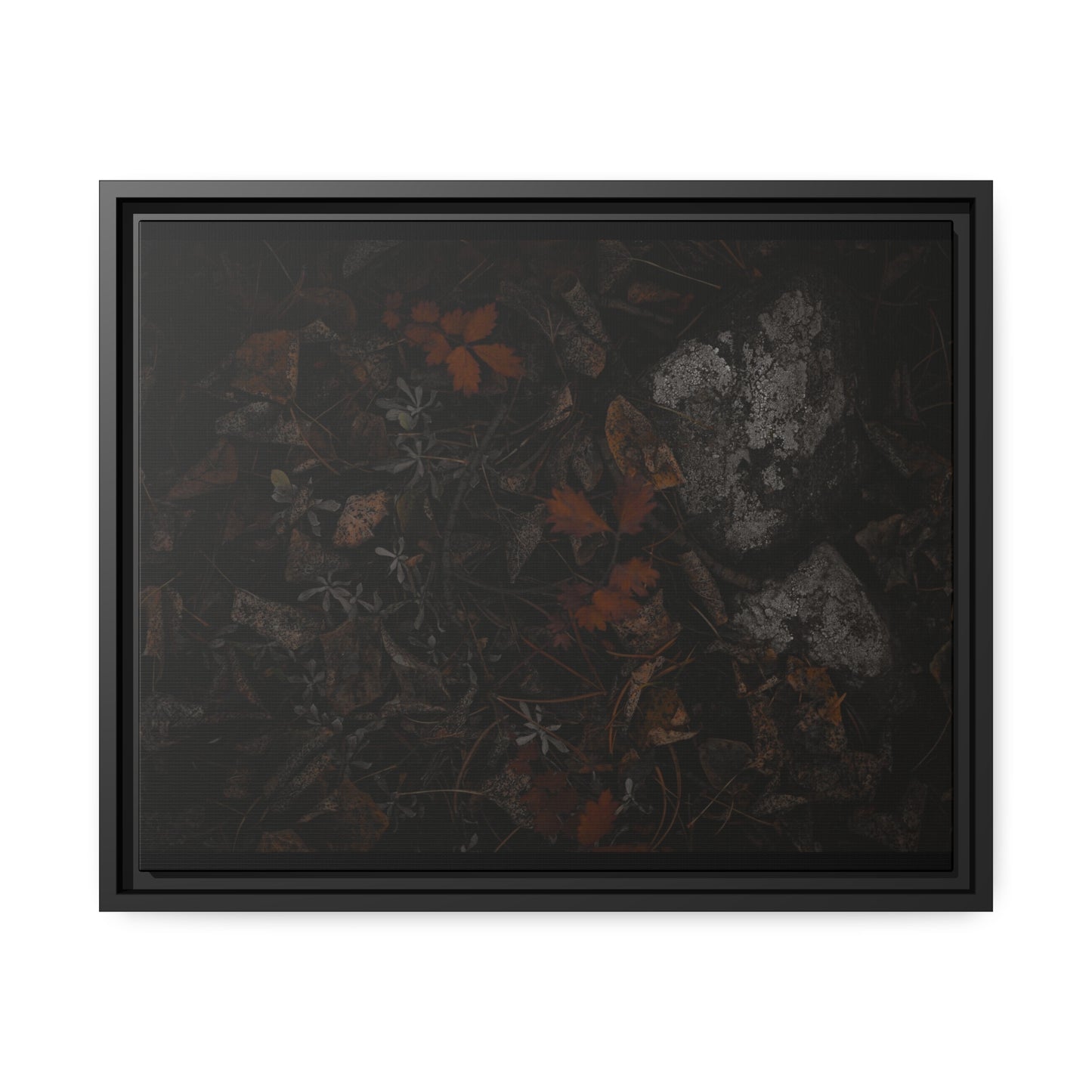 "Autumn's Floor" Framed Canvas