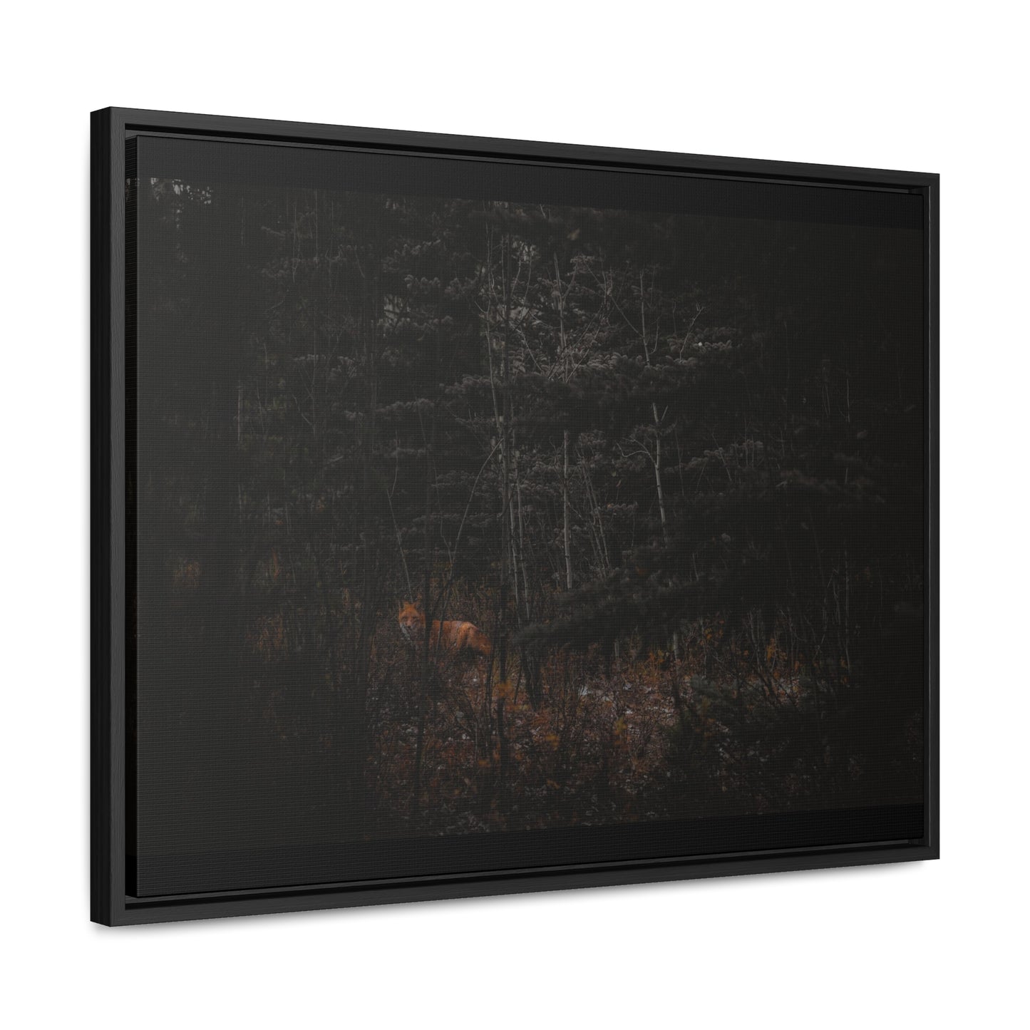 The Fox of the Forest Framed Gallery Canvas