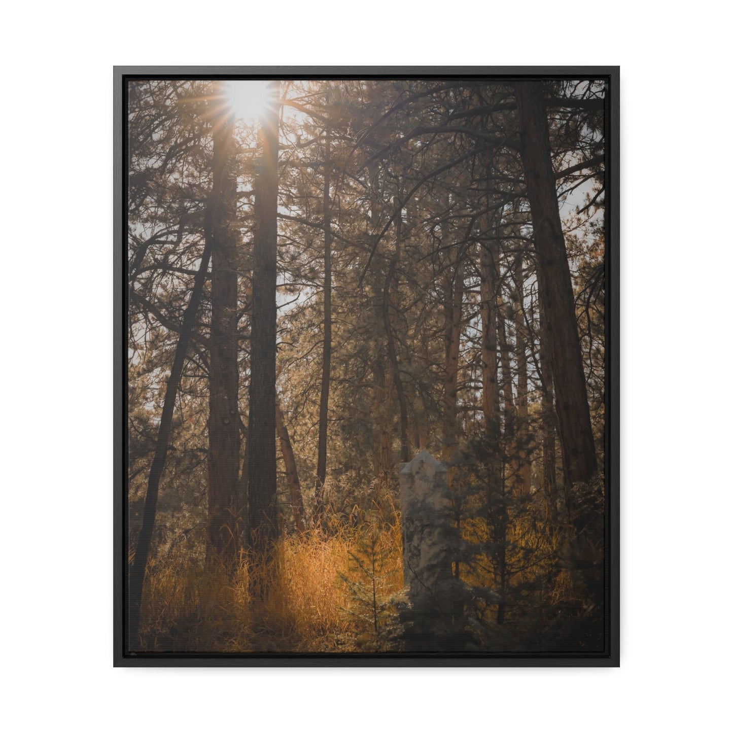 The Sun in the Cemetery Gallery Canvas Wraps, Vertical Frame