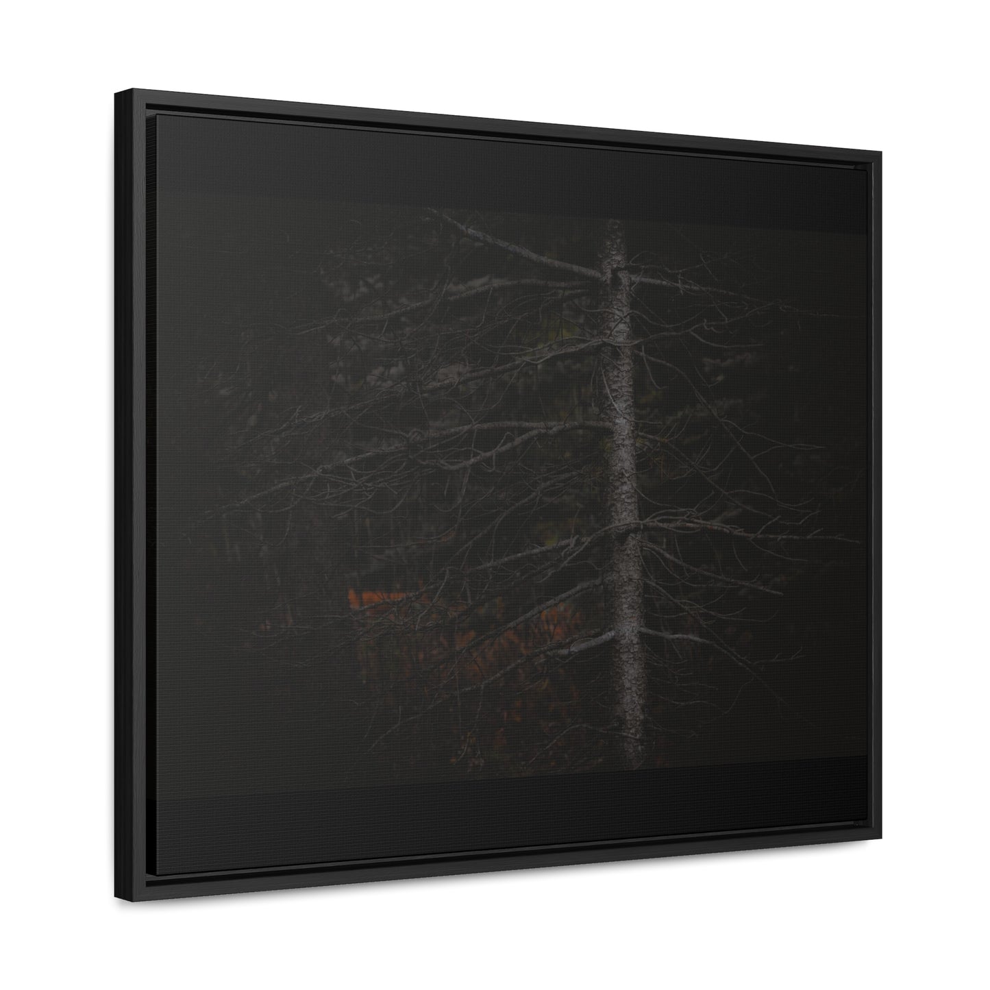 Beauty in Darkness Framed Gallery Canvas