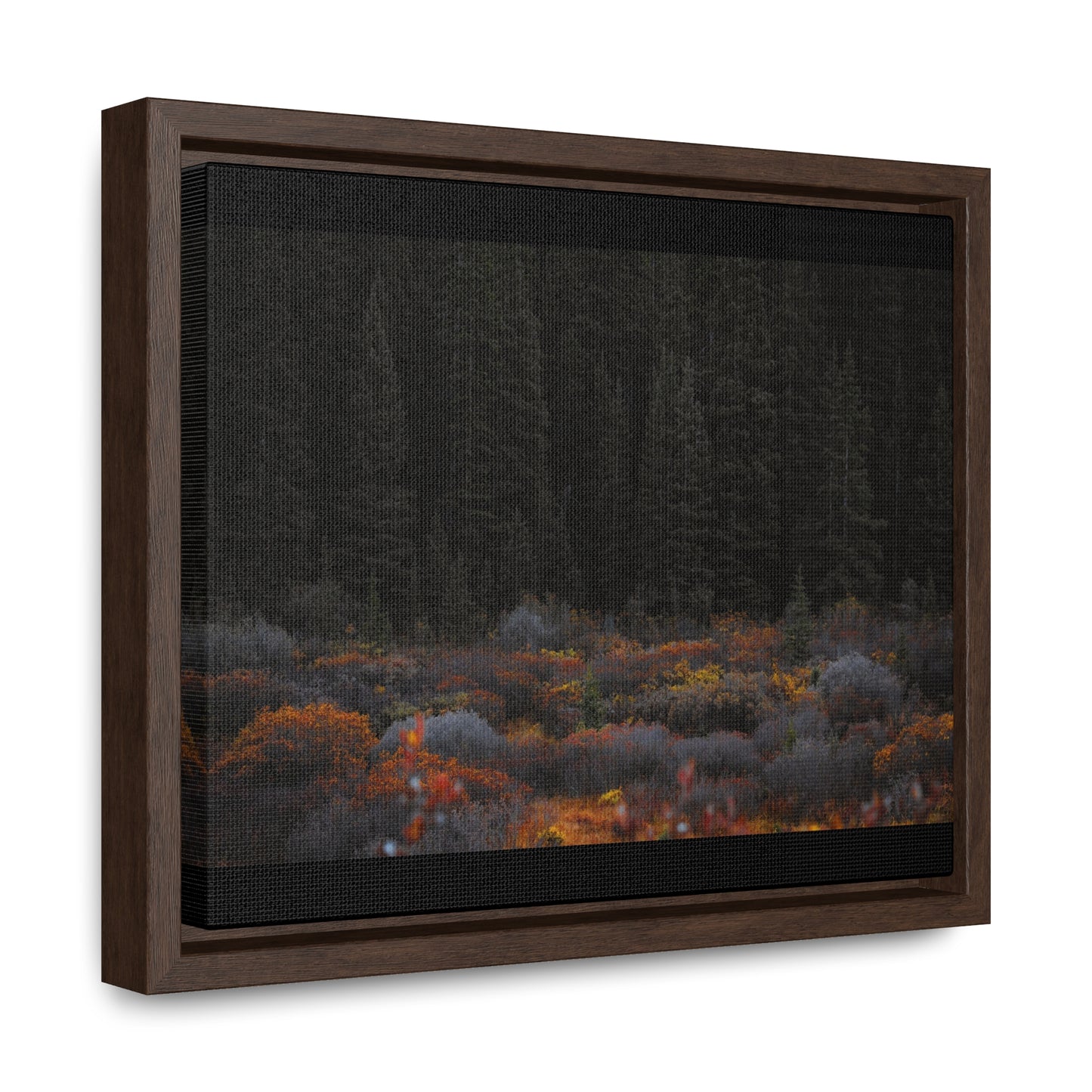 Moody Forest Framed Gallery Canvas