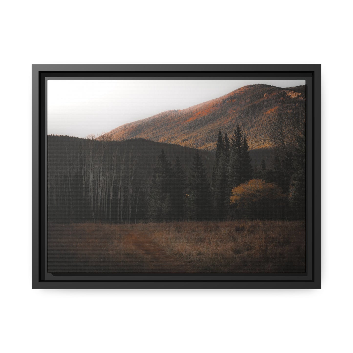 Evening Glow Framed Canvas