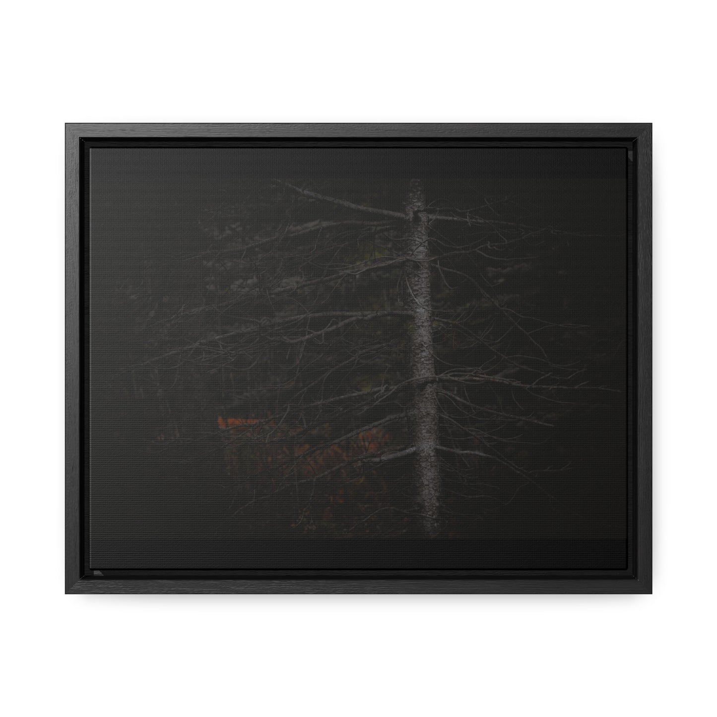 Beauty in Darkness Framed Gallery Canvas