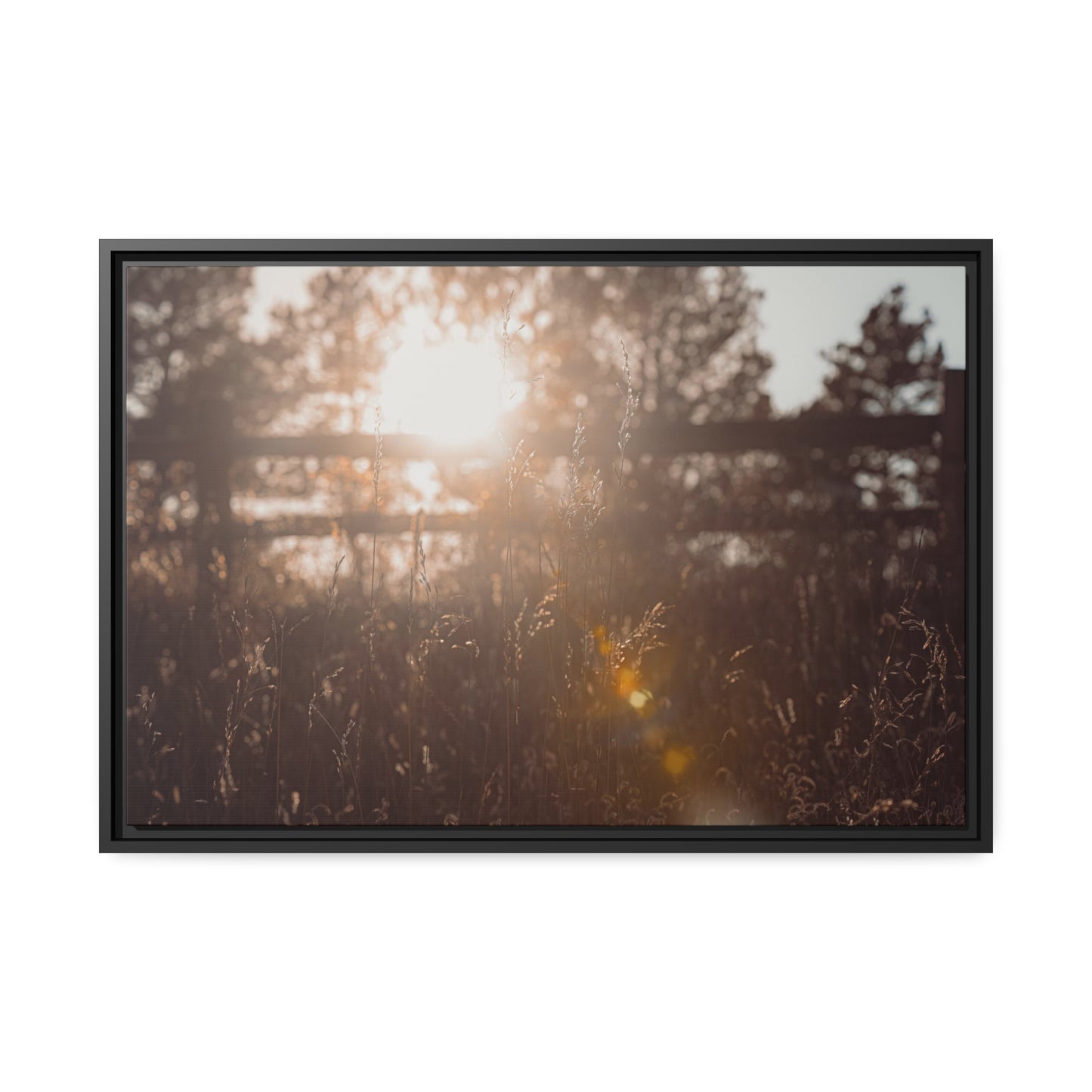 "October Sun" Framed Canvas