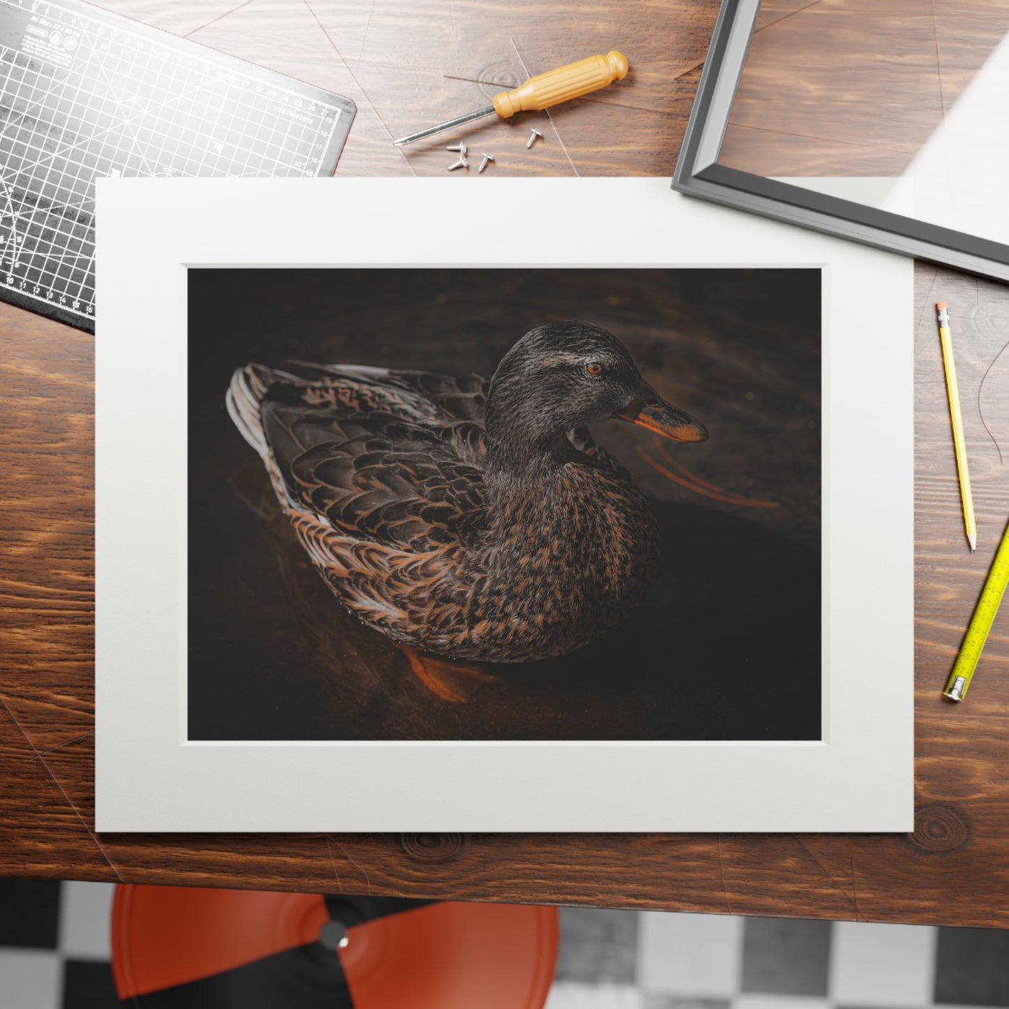 "Duck!" Fine Art Prints (Passepartout Paper Frame)