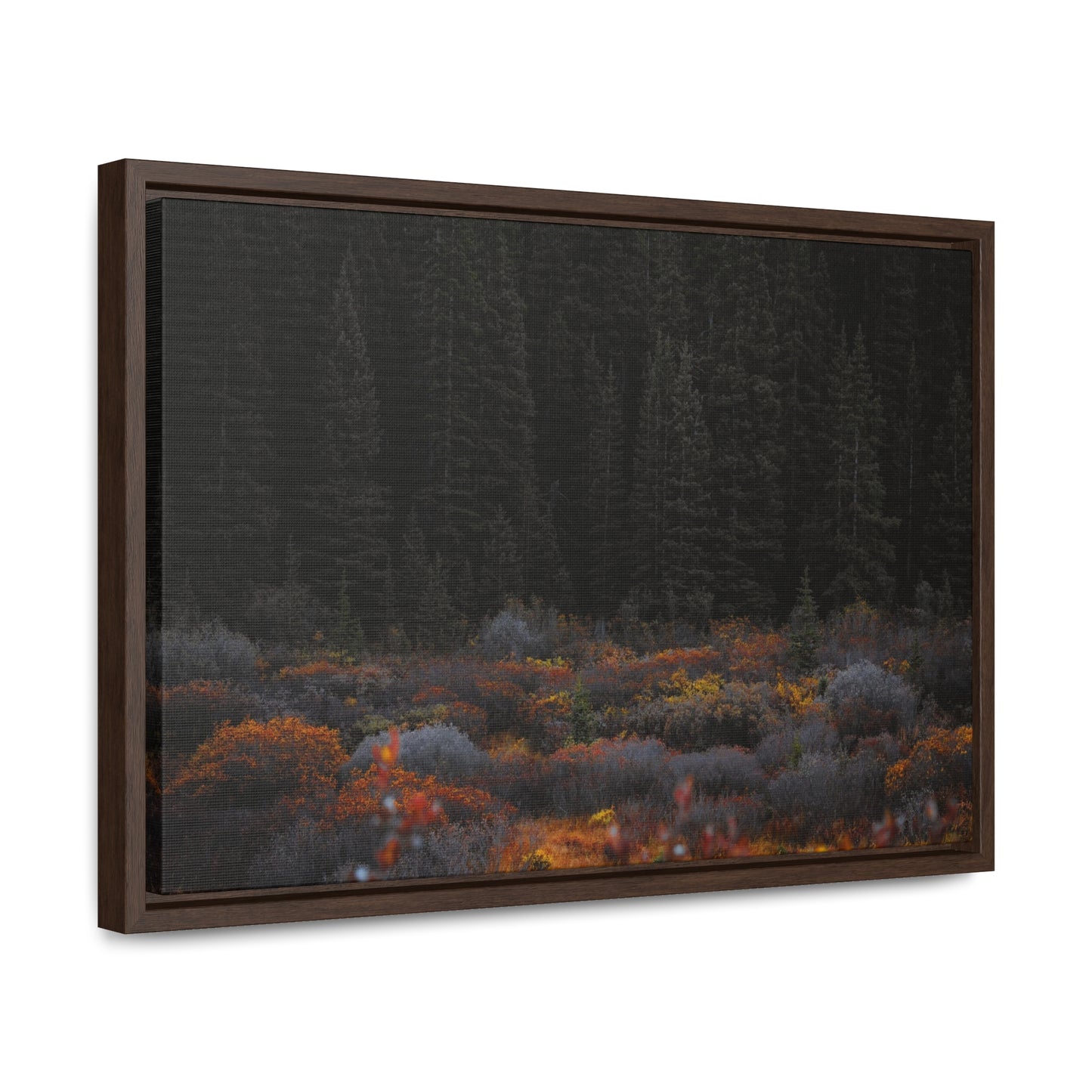 Moody Forest Framed Gallery Canvas