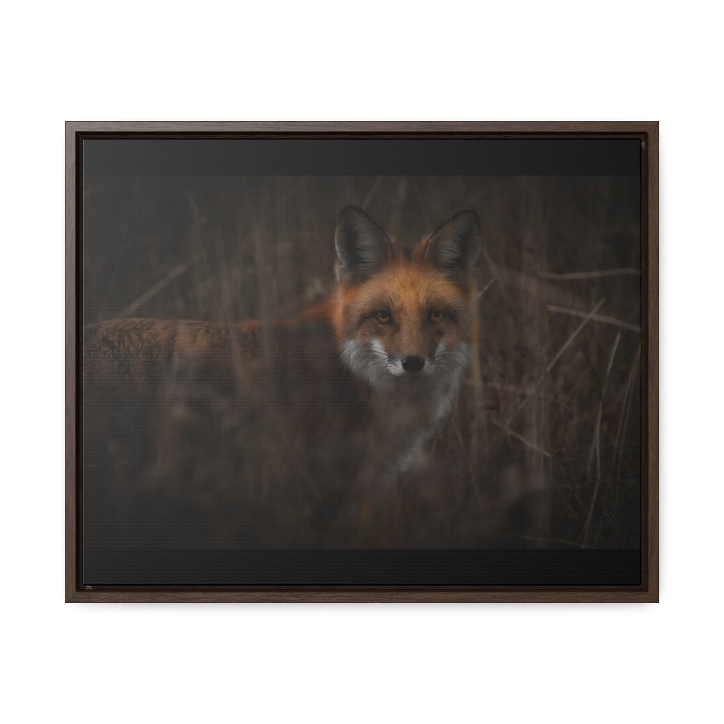 Fox Framed Gallery Canvas