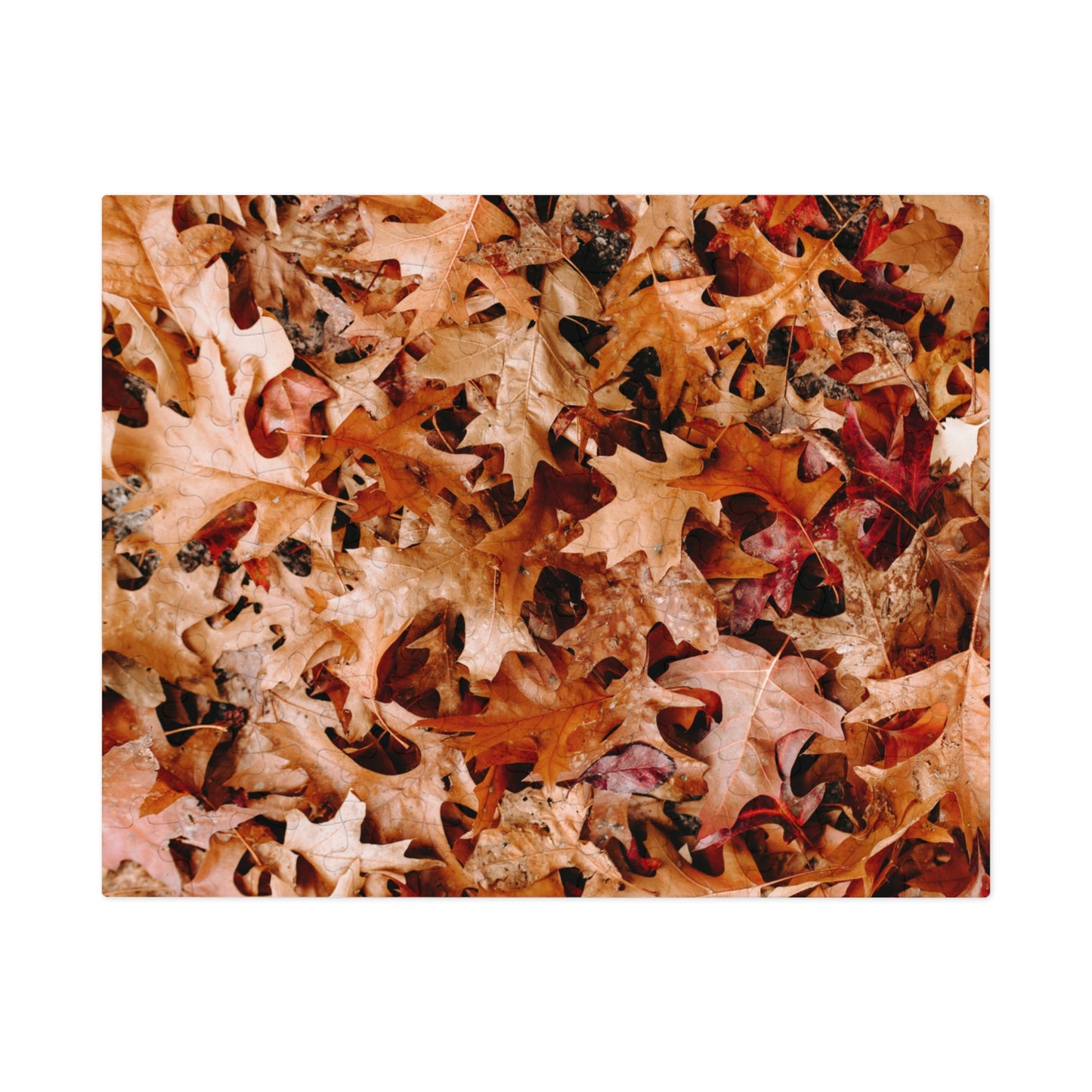 "Crunchy" Jigsaw Puzzle (30, 110, 252, 500,1000-Piece)