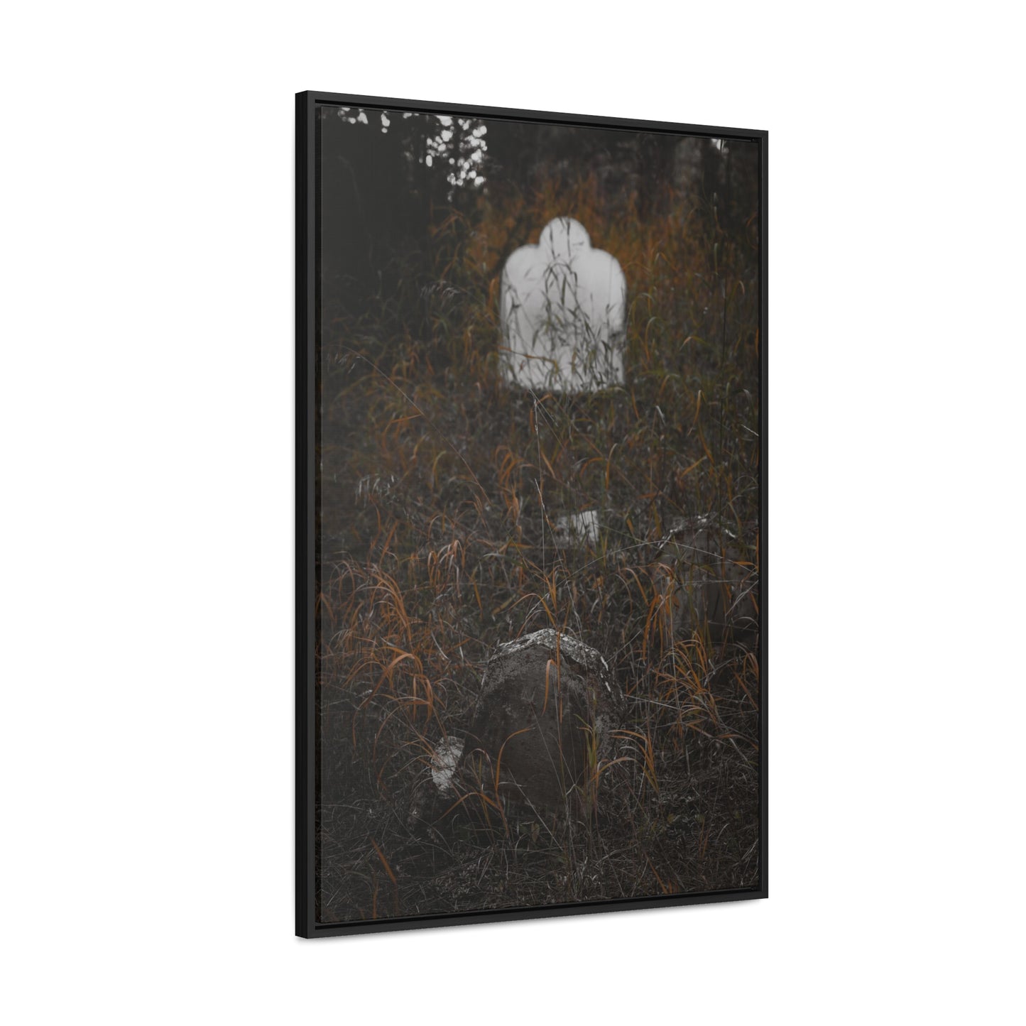 "Forgotten" Gallery Canvas Wraps, Vertical Frame