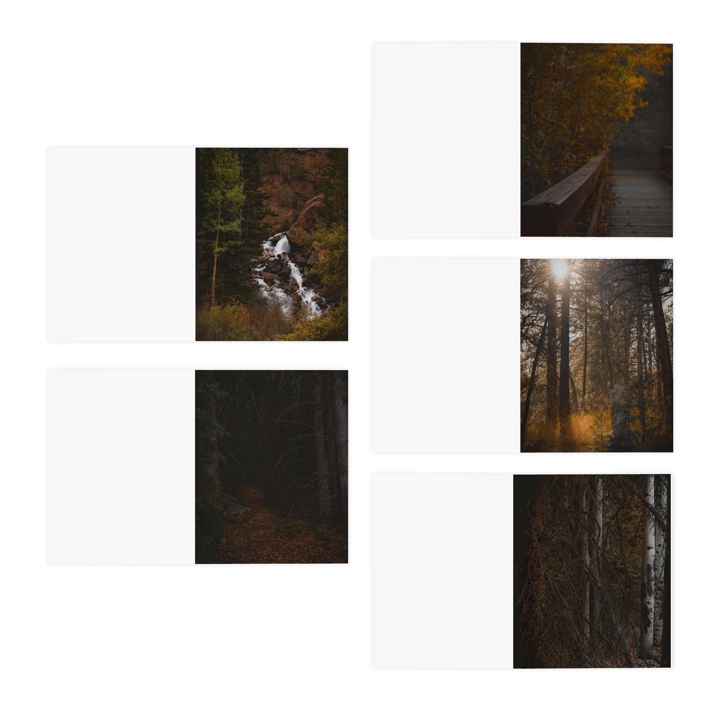 "Autumn Trails" Multi-Design Greeting Cards (5-Pack)