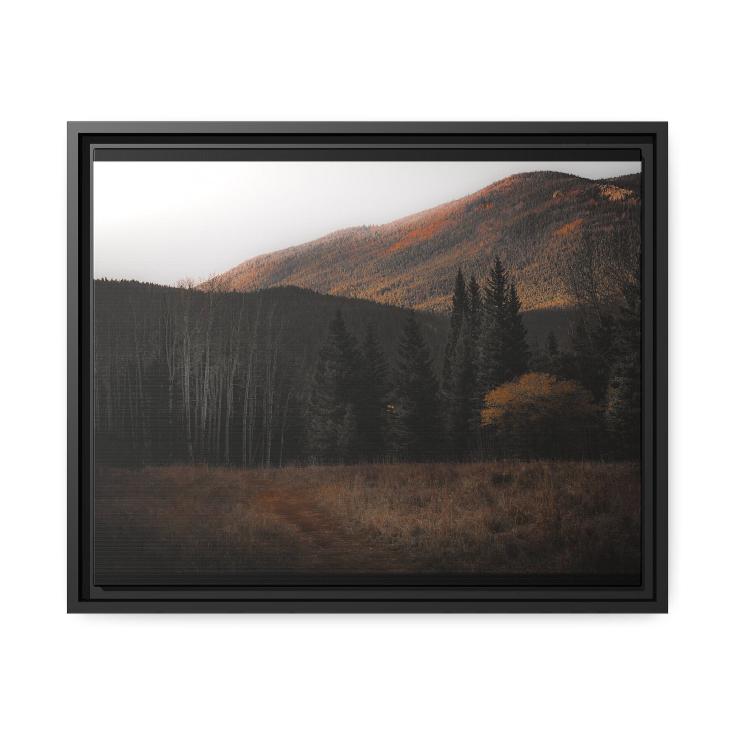 Evening Glow Framed Canvas