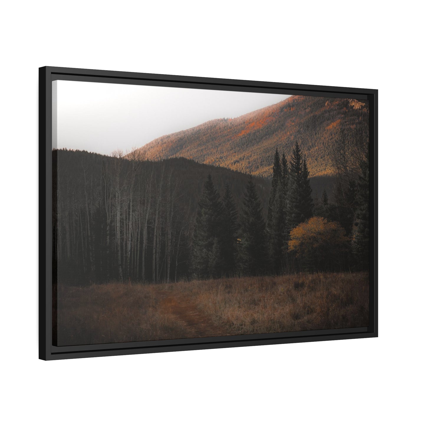 Evening Glow Framed Canvas