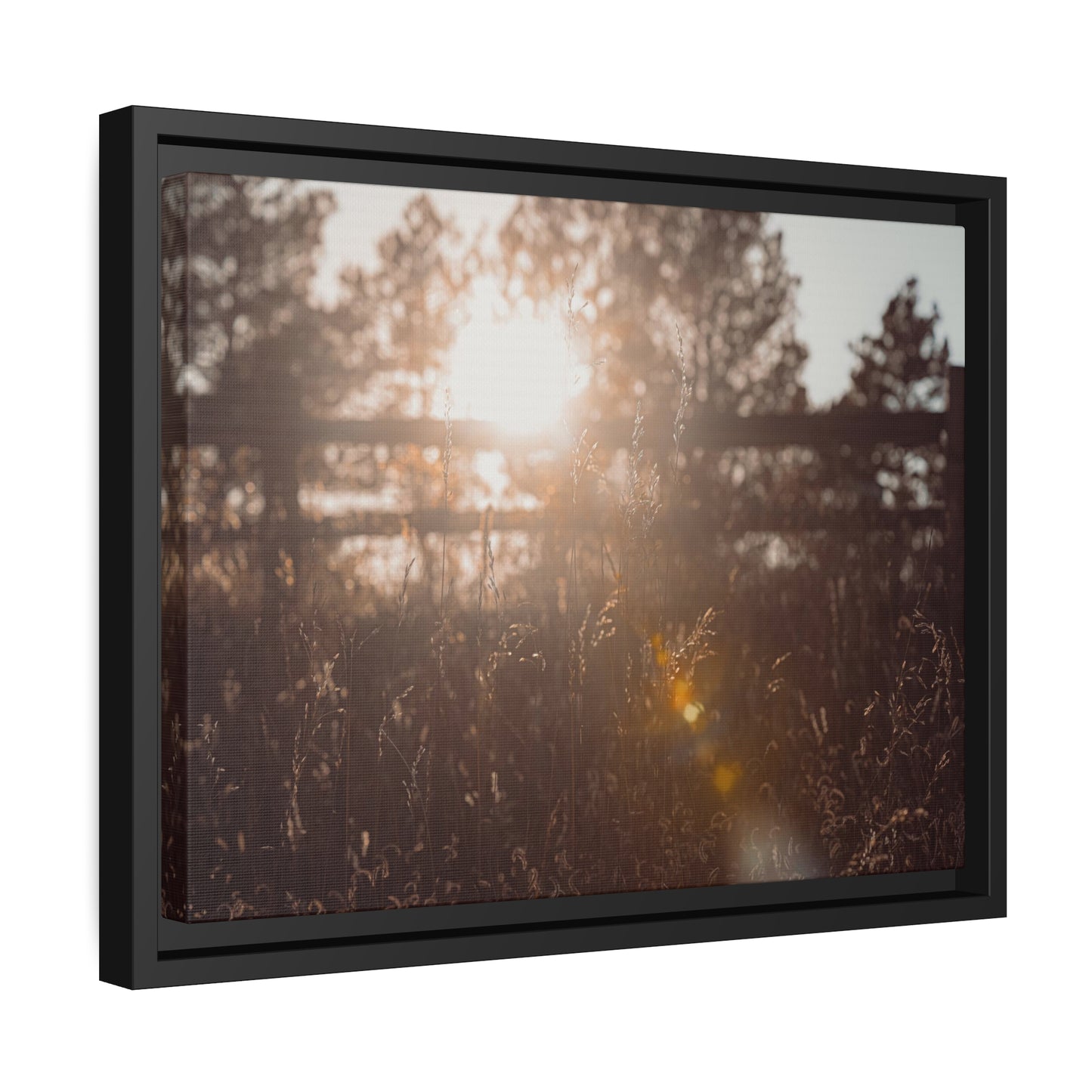 "October Sun" Framed Canvas