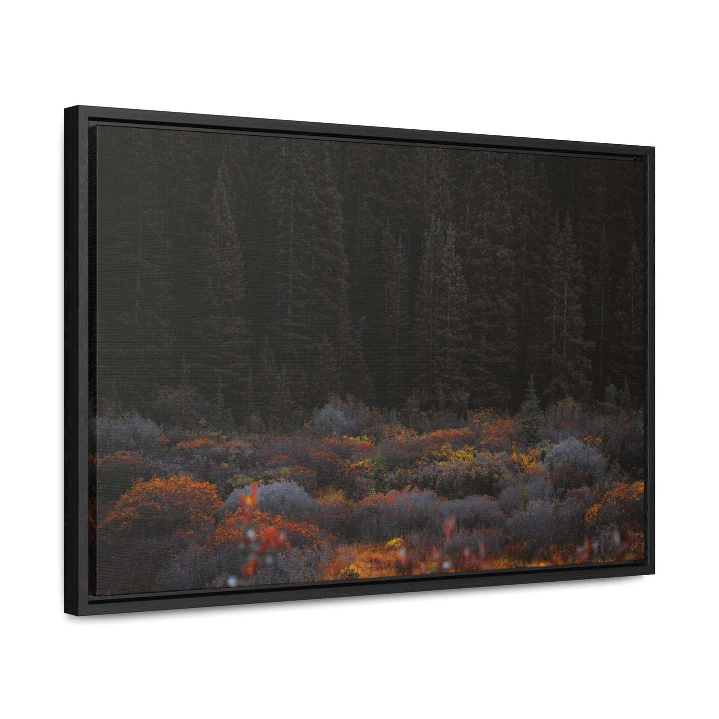 Moody Forest Framed Gallery Canvas