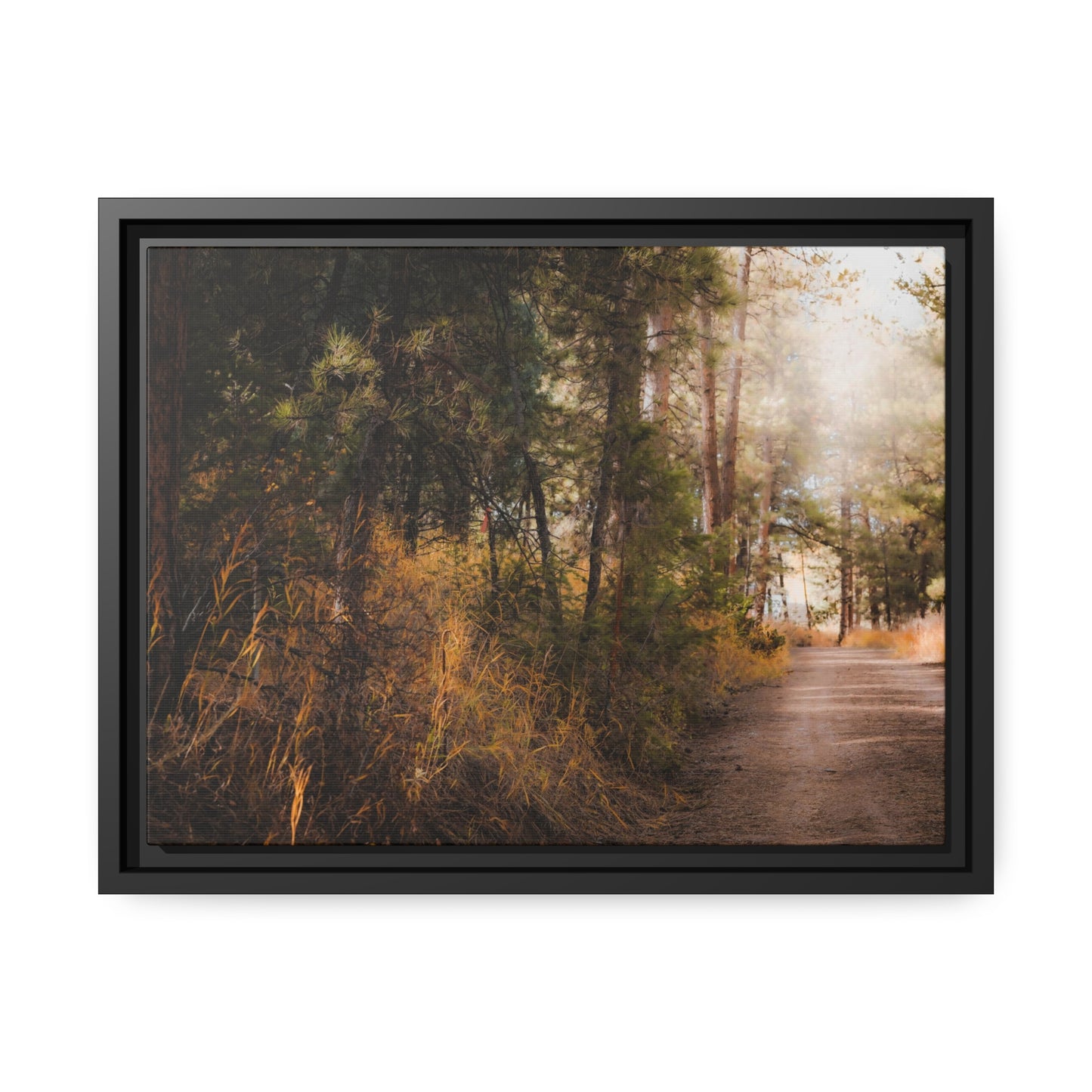 "Cemetery Light" Framed Canvas