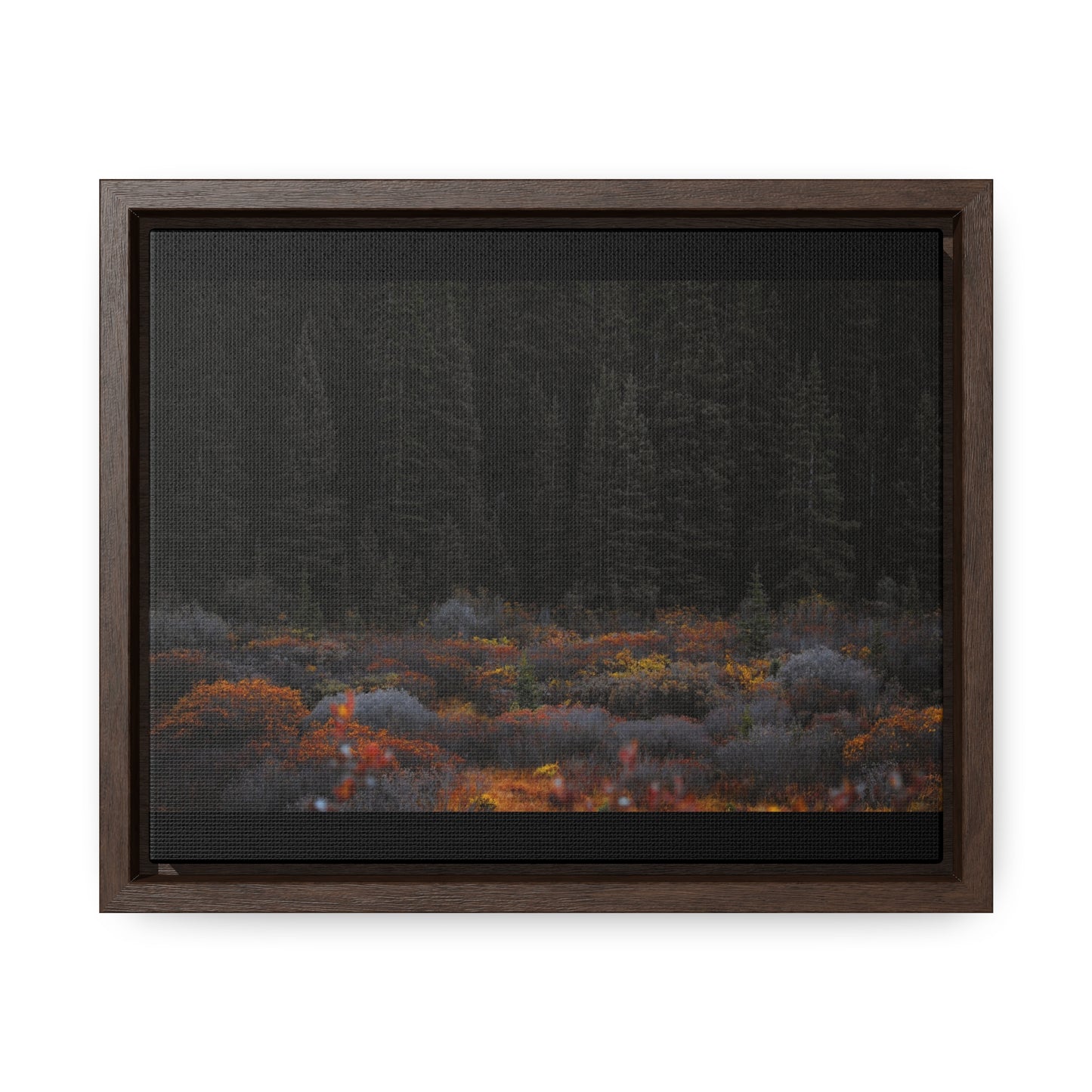 Moody Forest Framed Gallery Canvas