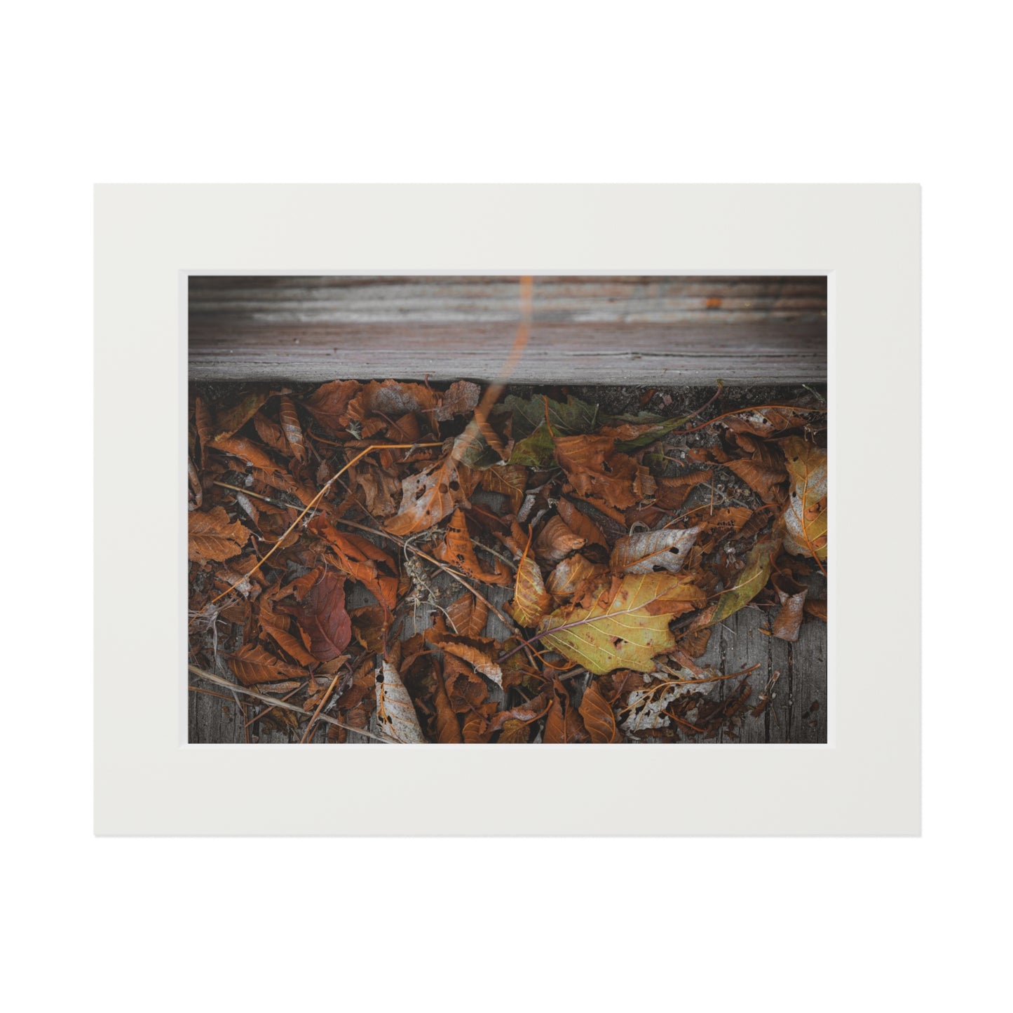 "Leaves on a Bridge" Fine Art Prints (Passepartout Paper Frame)