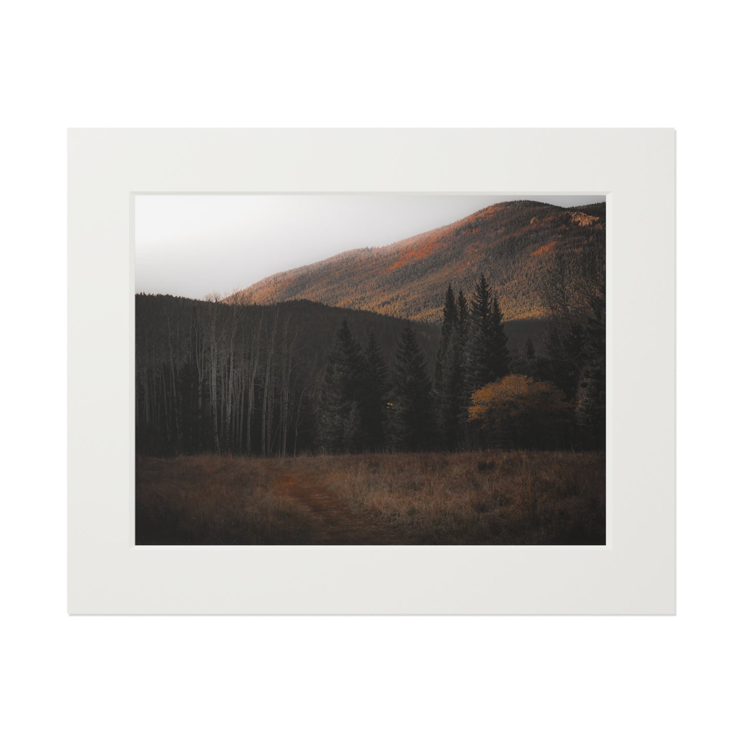 "Evening Glow" Fine Art Prints (Passepartout Paper Frame)