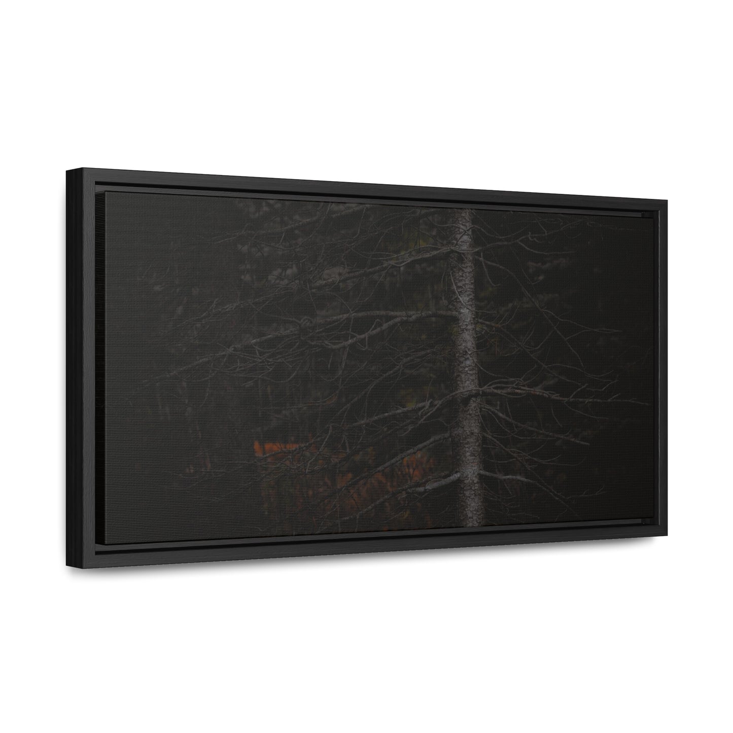 Beauty in Darkness Framed Gallery Canvas