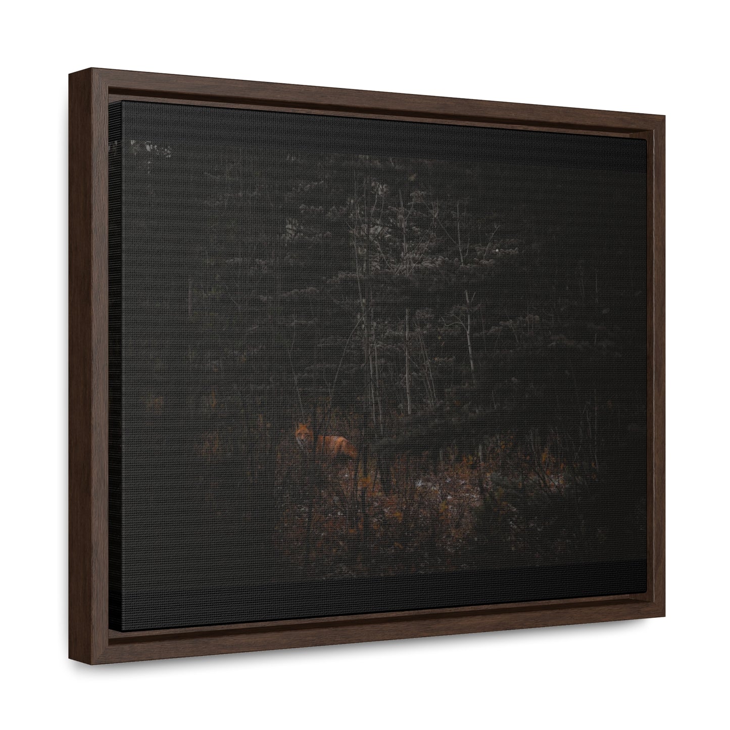 The Fox of the Forest Framed Gallery Canvas