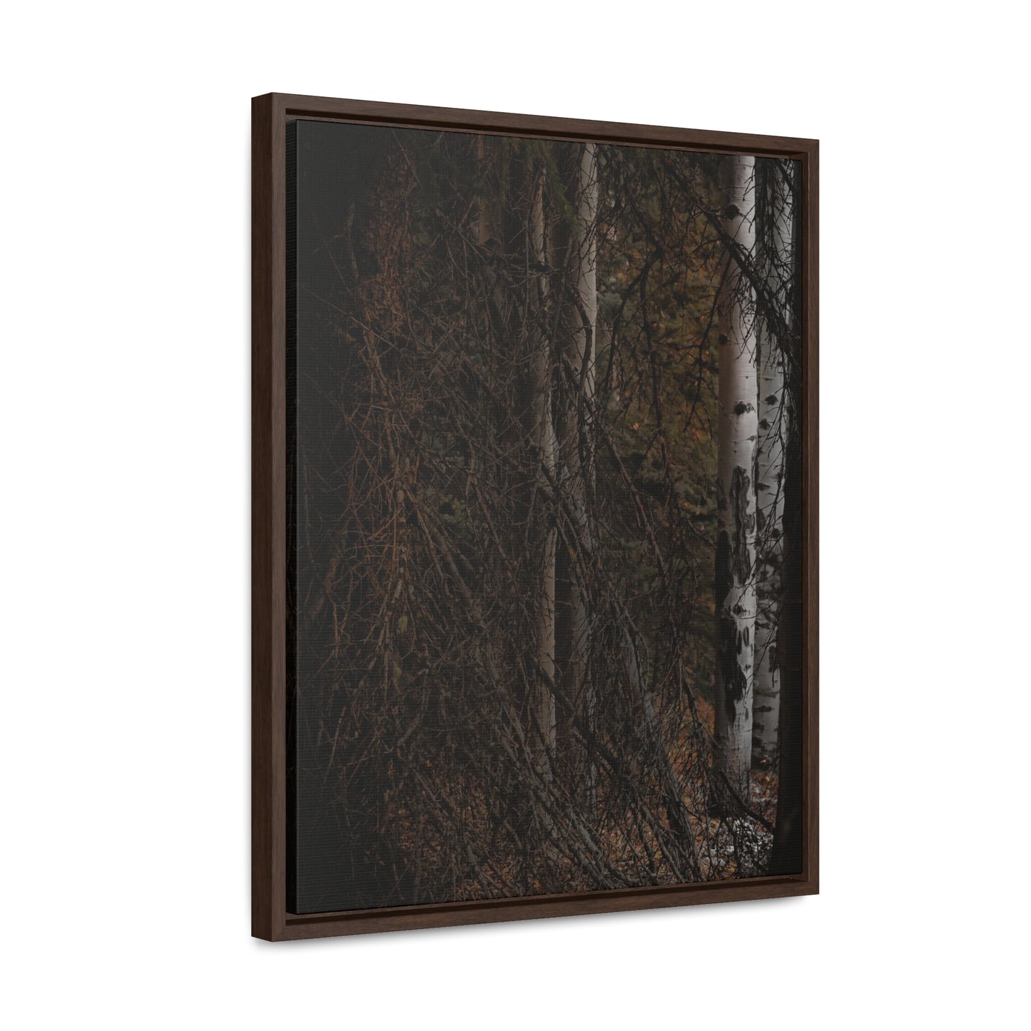 The Dark Forest Gallery Canvas Wraps, Vertical Frame