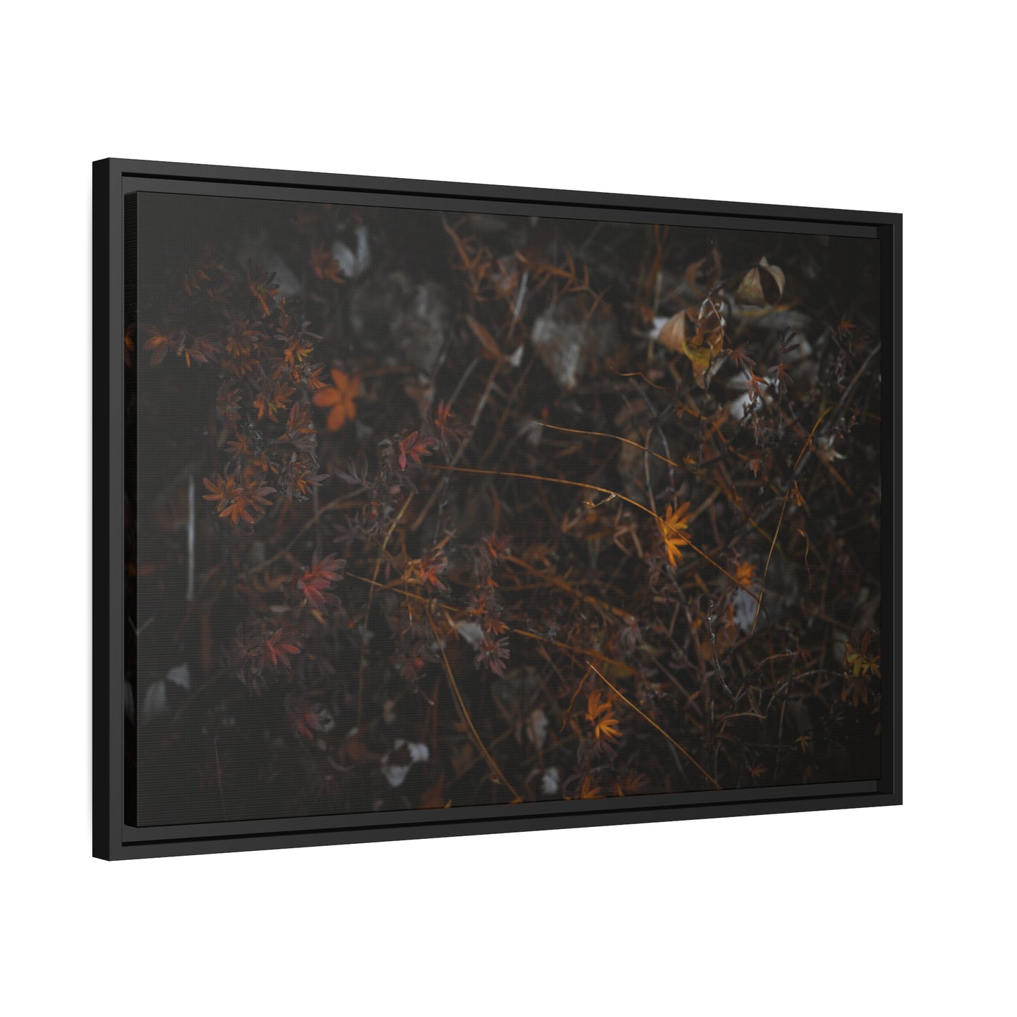 "Autumn's Last Breath" Framed Canvas