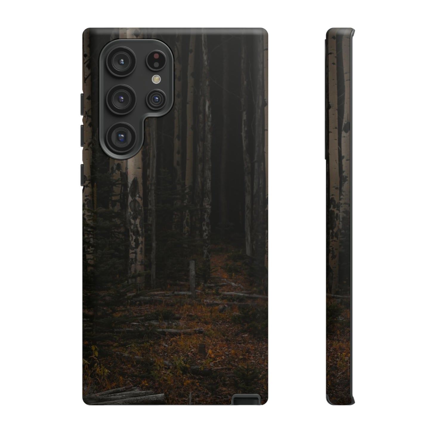 "Moody Aspens" Tough Cases