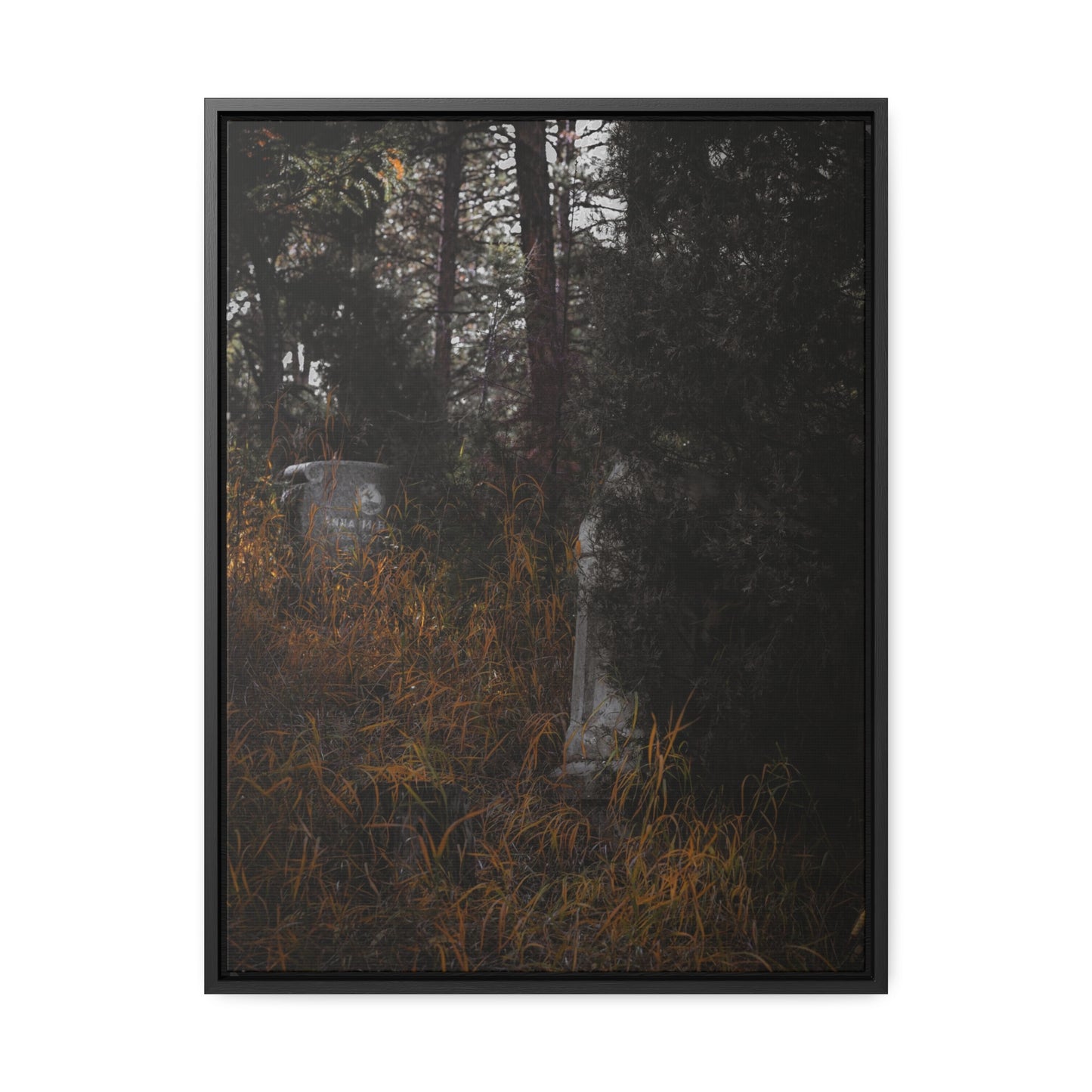 "Hidden Stories" Gallery Canvas Wraps, Vertical Frame