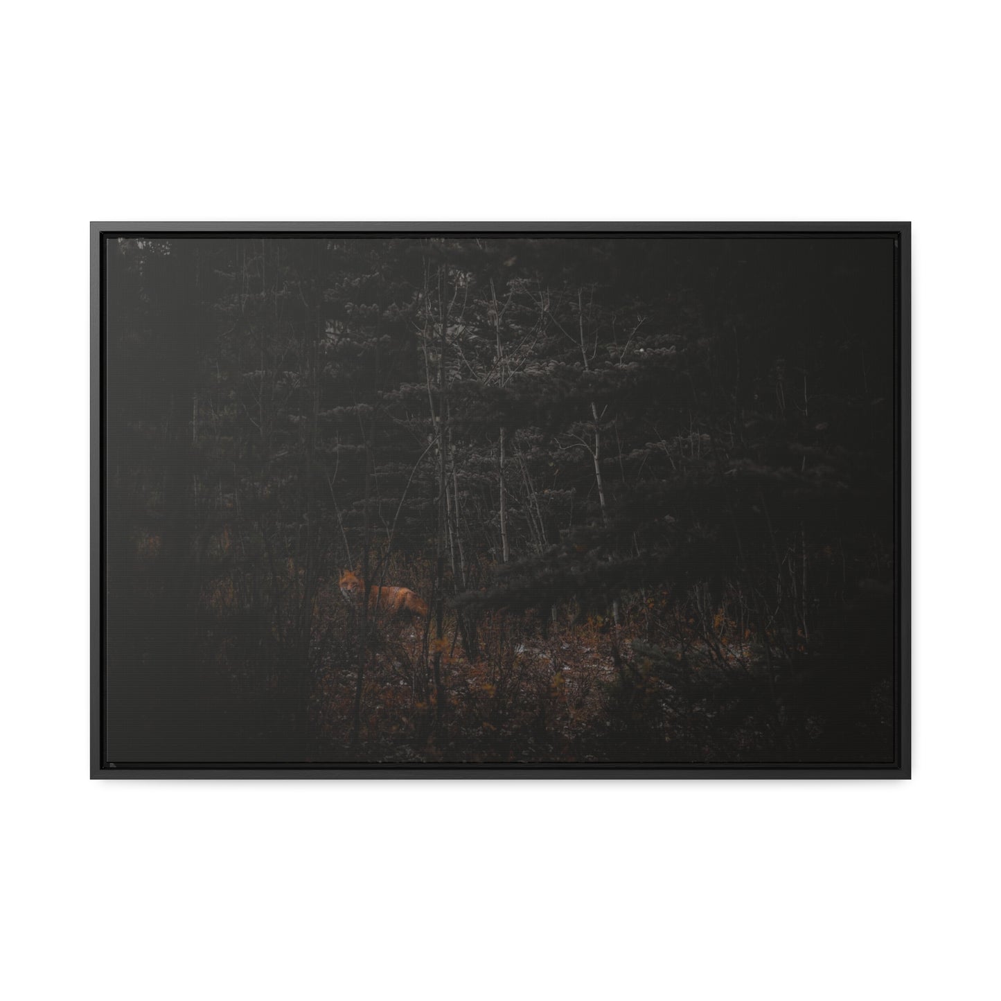 The Fox of the Forest Framed Gallery Canvas