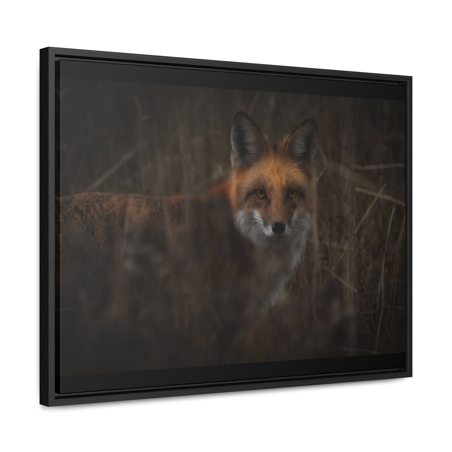 Fox Framed Gallery Canvas